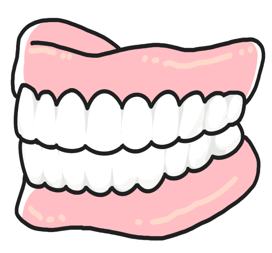入れ歯のイラスト