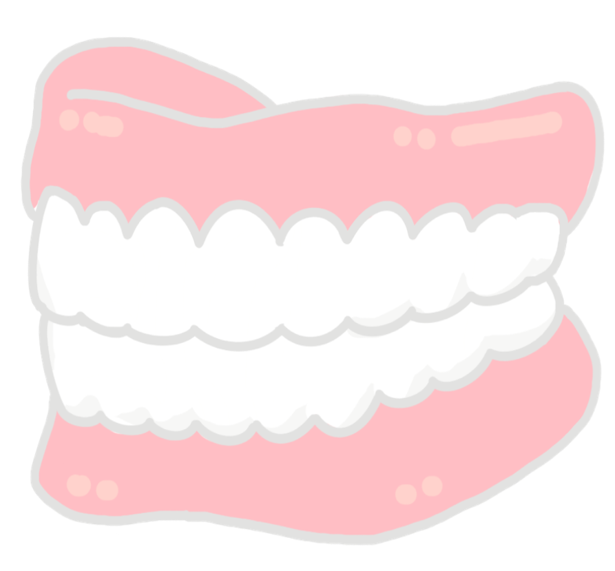 総義歯のイラスト